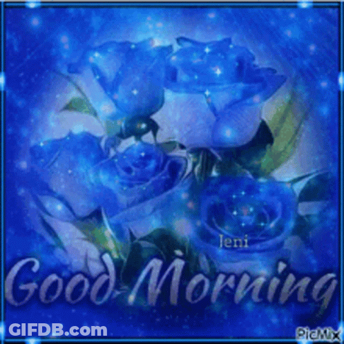 Blue Roses Good Morning GIF