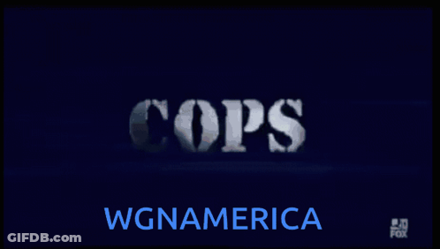 Blue Screen Saying Cops GIF