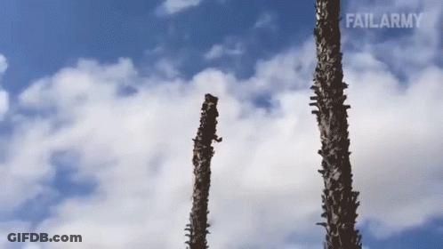 Blue Sky With Clouds And Failarmy Written On Bottom Right GIF