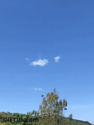 Blue Sky With Trees And White Cloud GIF