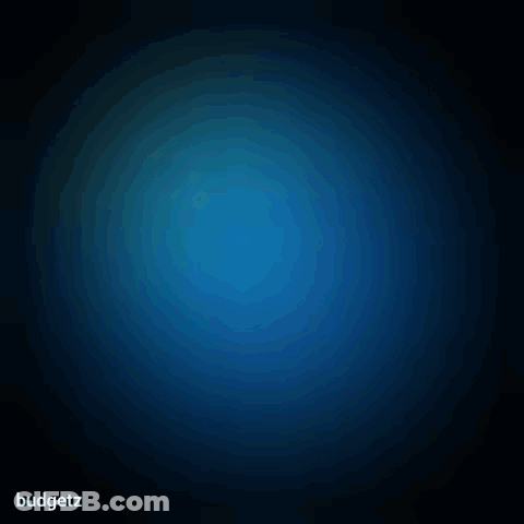 Blue Smiley Face Budgett GIF