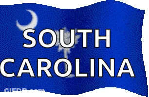 Blue South Carolina Sign With Palm Tree GIF