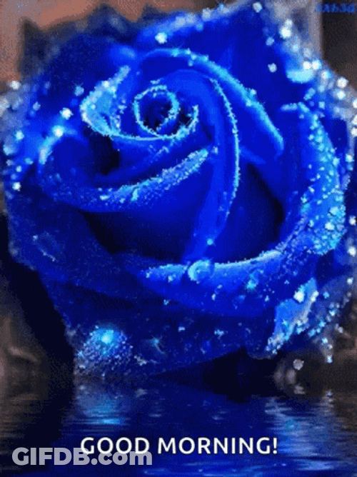 Blue Sparkling Good Morning Rose GIF