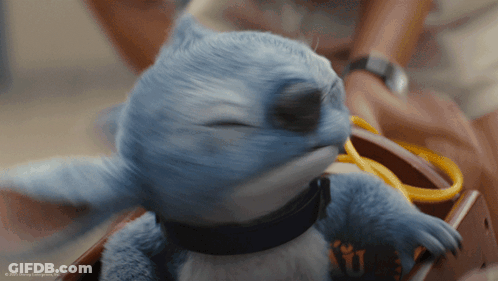 Blue Stuffed Animal With Collar Being Held GIF