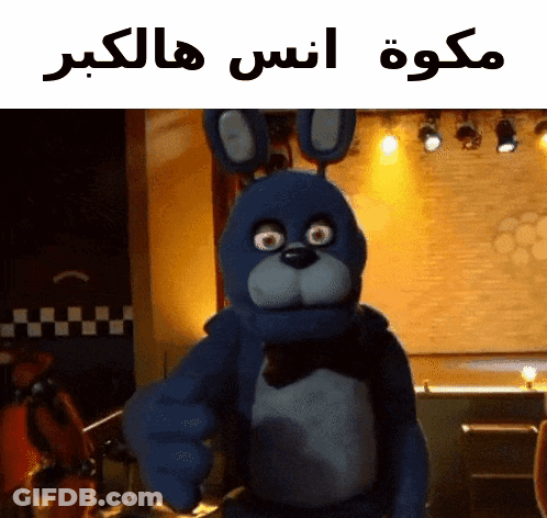 Blue Stuffed Bunny With Arabic Writing GIF