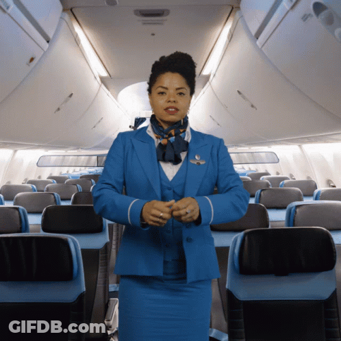 Blue Suit Flight Attendant With Scarf On Plane GIF