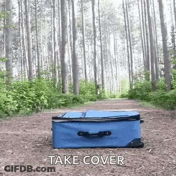Blue Suitcase In Forest Take Cover GIF