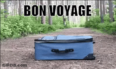Blue Suitcase In Woods With Bon Voyage GIF