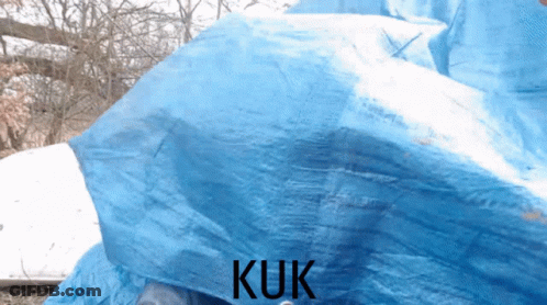 Blue Tarp With Kuk GIF