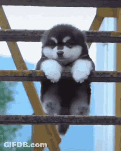 Blue To White Gradient Background GIF