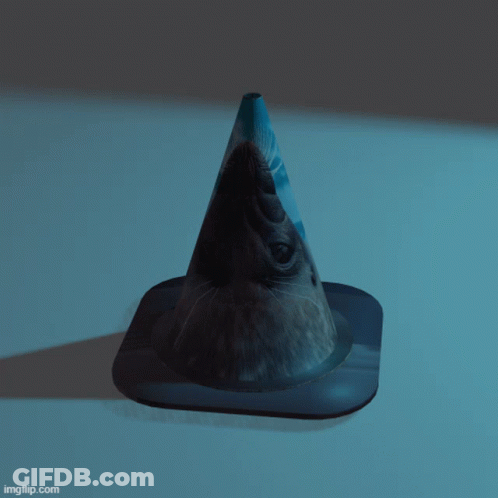 Blue Traffic Cone With Cat Face GIF