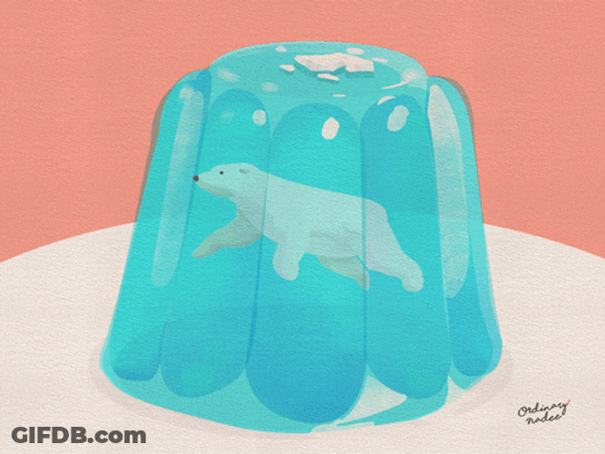 Blue Translucent Bear Jelly GIF