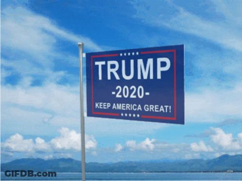 Blue Trump 2020 Sign GIF