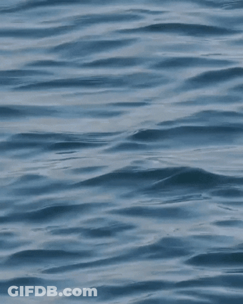 Blue Water Hello July GIF