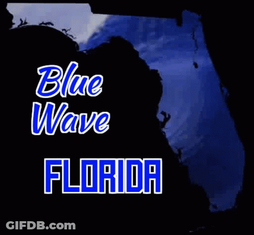 Blue Wave Florida GIF