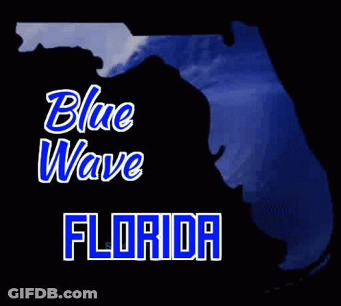 Blue Wave Florida Map GIF