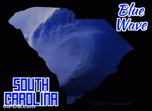 Blue Wave Florida Map GIF