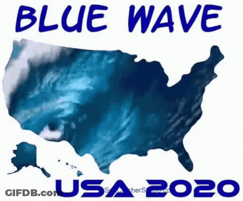 Blue Wave USA 2020 Map GIF