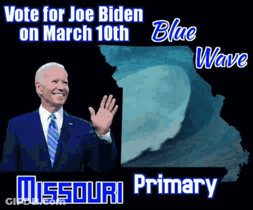 Blue Wave Virginia State Map GIF