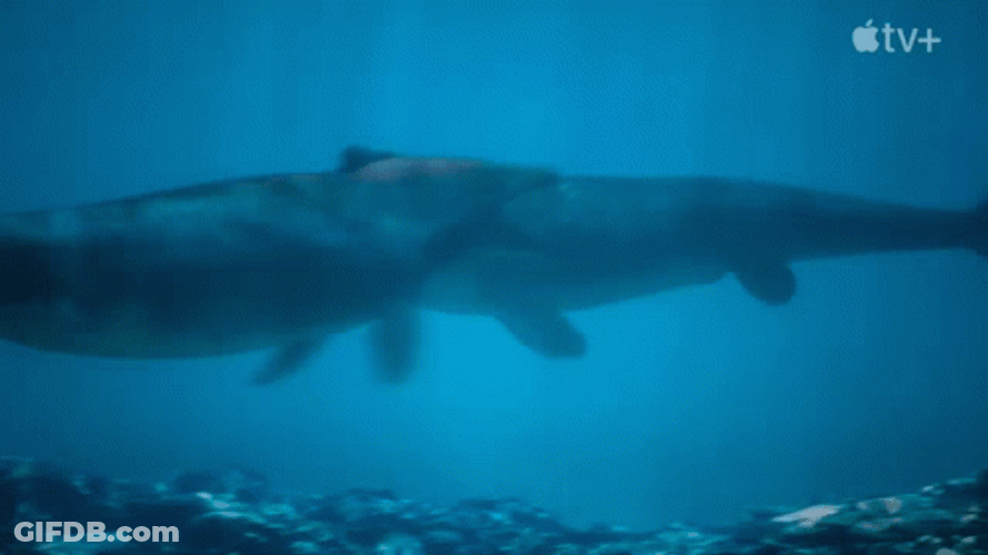 Blue Whale Vs Mosasaurus GIF