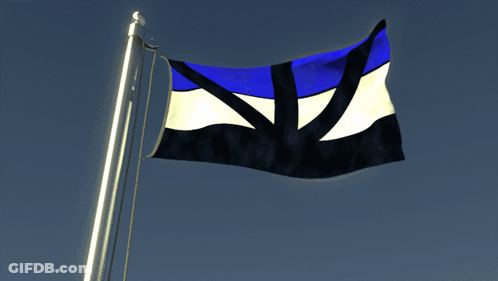 Blue White And Black Flag Flying GIF