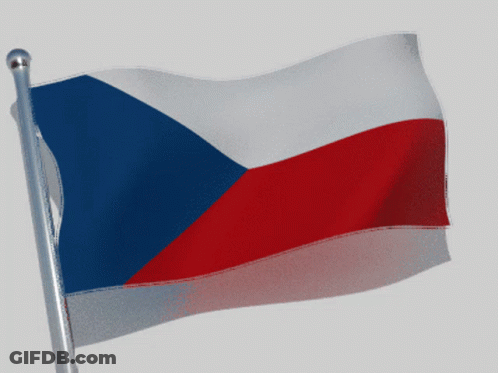 Blue White And Red Flag Flying GIF