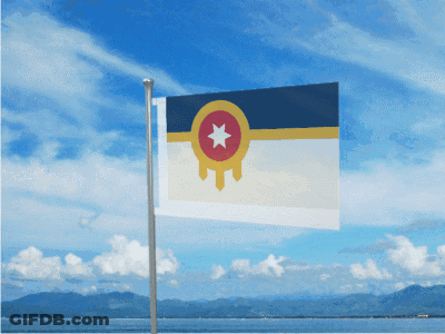 Blue White And Yellow Flag With Red Star GIF