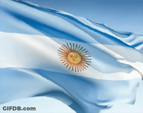 Blue White And Yellow Flag With Sun And Face GIF