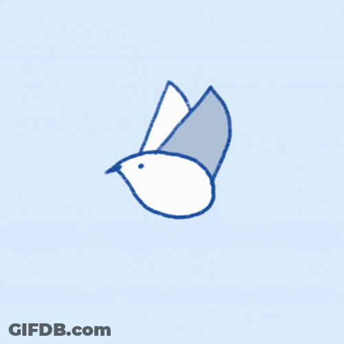 Blue White Bird Flying GIF