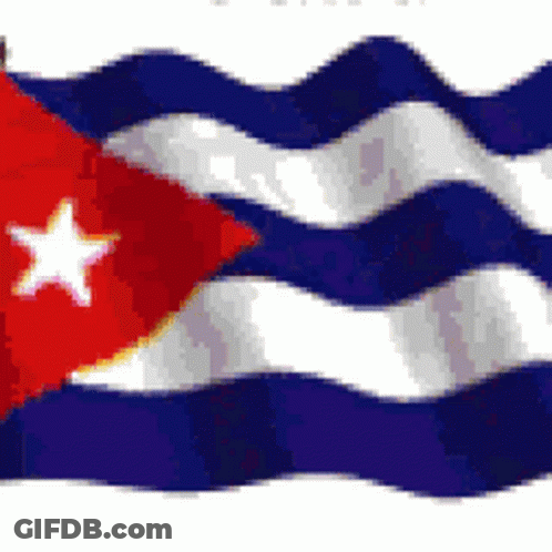 Blue White Red Flag With Star GIF