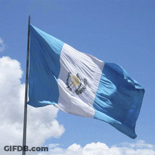 Blue White Yellow Flag Waving In Sky GIF