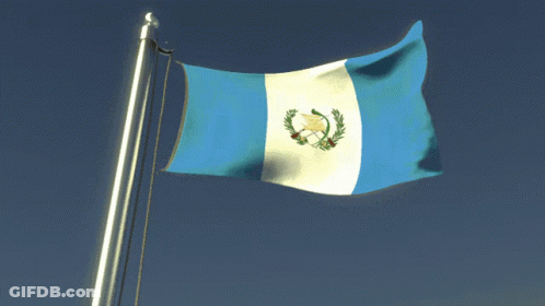 Blue White Yellow Flag With Bird GIF