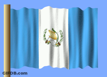 Blue White Yellow Flag With Eagle GIF
