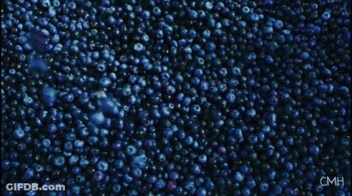 Blueberries With Blueberry Eyes In Orange GIF