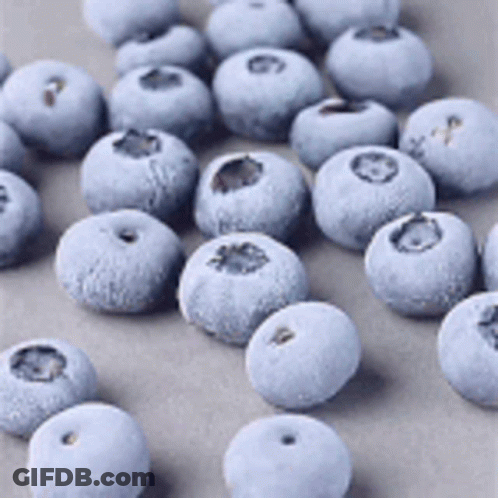 Blueberries With The Blueberry Farm GIF