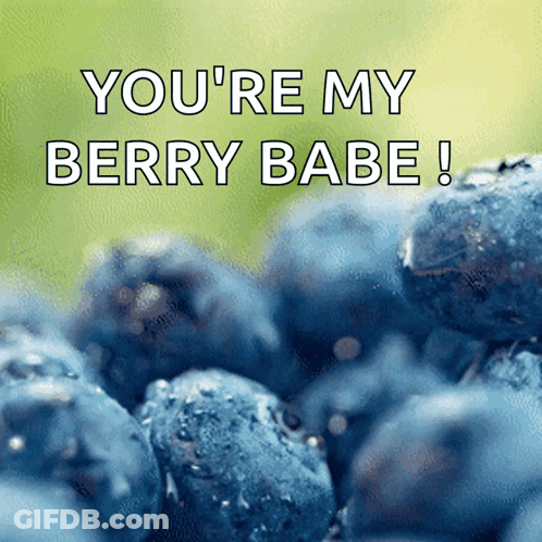 Blueberries You're My Berry Babe GIF