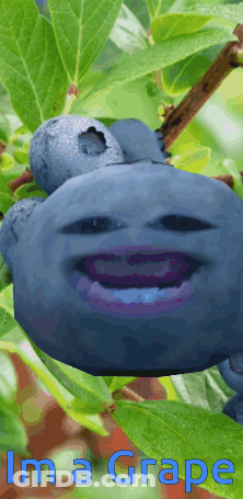 Blueberry With Face Saying Ima Grape GIF