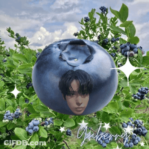 Blueberry With Man's Face GIF