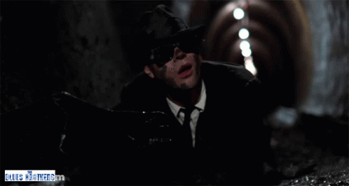 Blues Brothers Poster Man In Hat And Sunglasses GIF