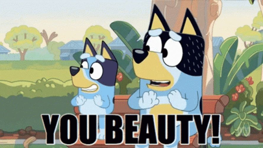 Bluey Bandit You Beauty GIF