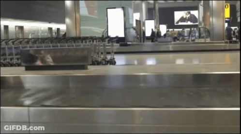Blurred Airport With Yellow Arrivals Sign GIF