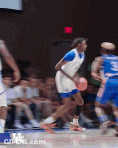 Blurred Basketball Game Number 3 GIF