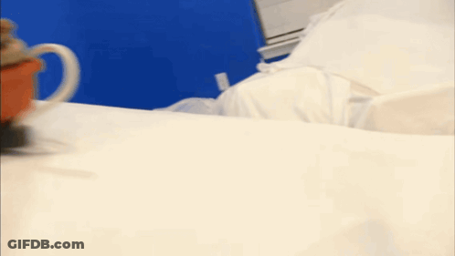 Blurred Bed With White Sheets And Blue Wall GIF