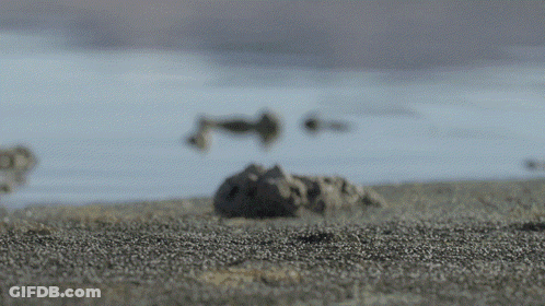 Blurred Body Of Water With Rocks GIF