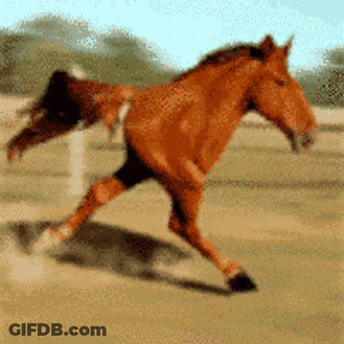 Blurred Brown Horse Running In Field GIF