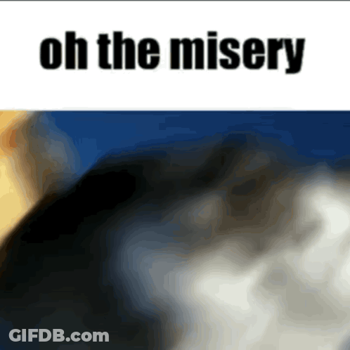 Blurred Cat Oh The Misery GIF