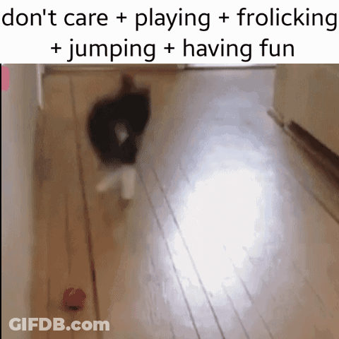 Blurred Cat Playing With Ball Don't Care Frolicking GIF