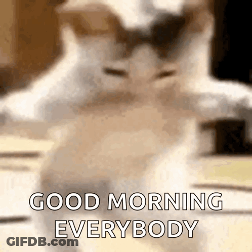 Blurred Cat Saying Good Morning Everybody GIF