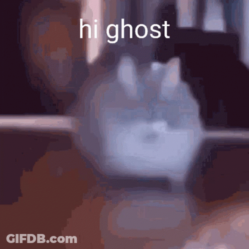 Blurred Cat Saying Hi Ghost GIF