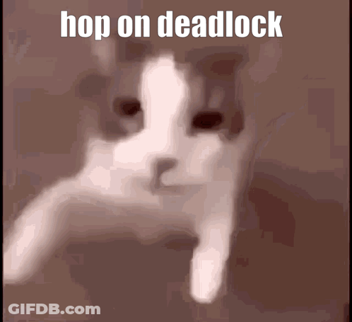 Blurred Cat Saying Hop On Deadlock GIF